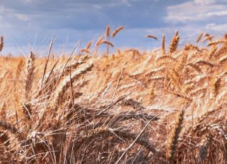 Alabanza constante a Dios