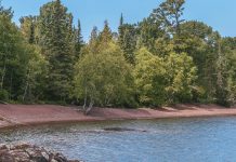 Destellos de memoria