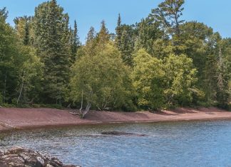 Destellos de memoria