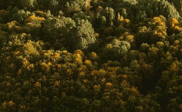 Bondad hacia los que sufren