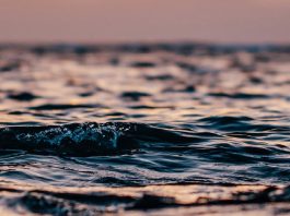 Síndrome del impostor