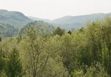 La posesión más preciada