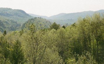 La posesión más preciada