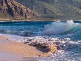 Cuenta tus bendiciones