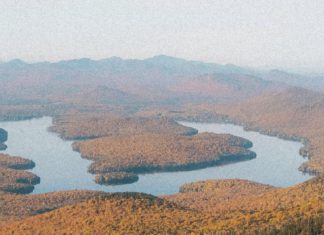 Una gratitud humilde