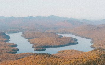 Una gratitud humilde