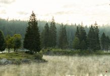 Crecer mediante la aflicción