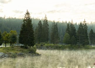Crecer mediante la aflicción