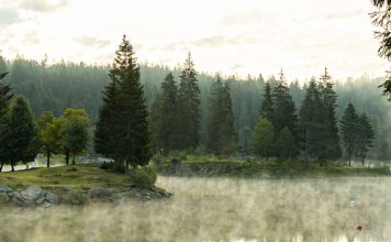 Crecer mediante la aflicción