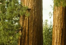 Creer más de lo que vemos