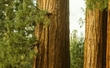 Creer más de lo que vemos