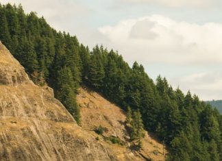 Ora lo que tienes en el corazón