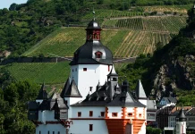 La devoción de David