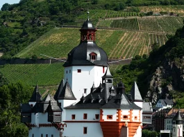 La devoción de David