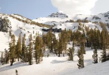 ¿En qué debemos gloriarnos?