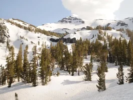 ¿En qué debemos gloriarnos?
