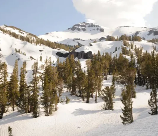 ¿En qué debemos gloriarnos?