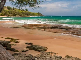 Las consecuencias de la falta de perdón