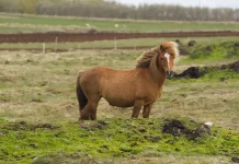 Cómo superar la falta de perdón