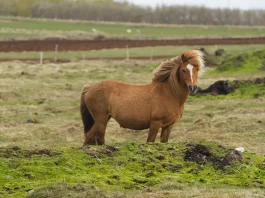 Cómo superar la falta de perdón