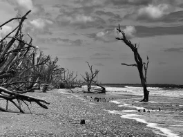 El modelo para el servicio