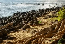 Cuando las personas se fallan mutuamente