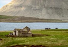 El disfrute de la vida