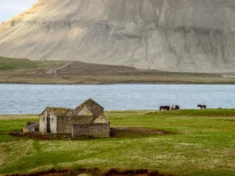 El disfrute de la vida