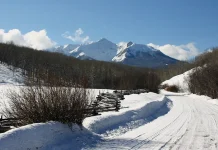 Adoración en Navidad