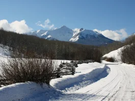 Adoración en Navidad