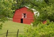 La ruina de la rebelión