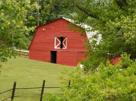 La ruina de la rebelión