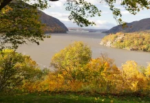 Cómo ocurre la rebelión