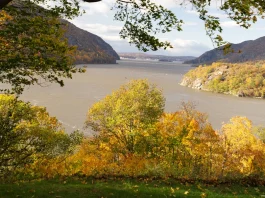 Cómo ocurre la rebelión