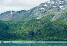 Una visión realista de la vida