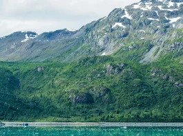 Una visión realista de la vida