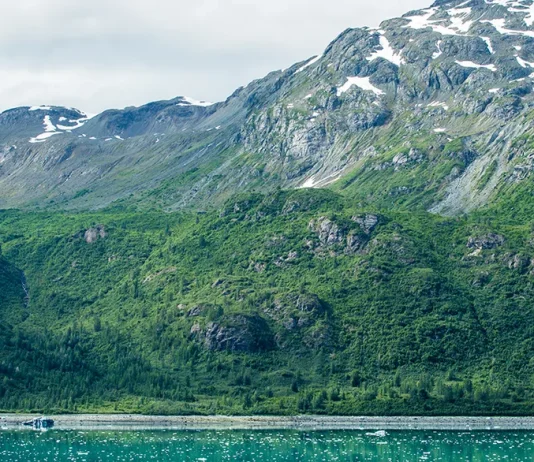 Una visión realista de la vida