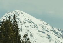 Gozo y fuerza en Dios