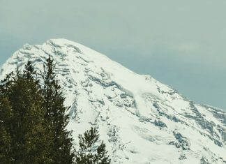 Gozo y fuerza en Dios