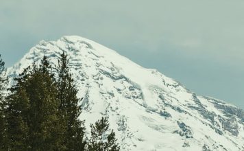 Gozo y fuerza en Dios