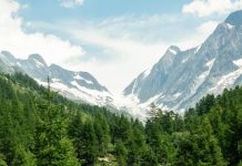 Una caja de jugo vacía