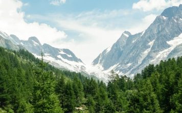 Una caja de jugo vacía