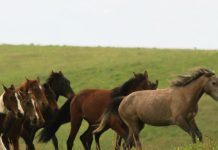 Conocer y amar a otros