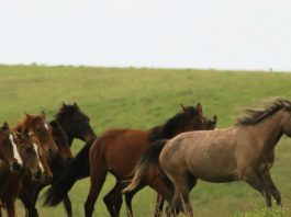 Conocer y amar a otros