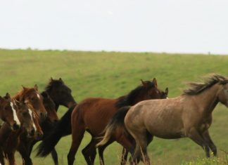 Conocer y amar a otros