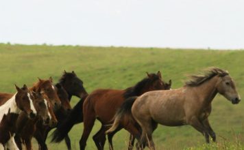 Conocer y amar a otros