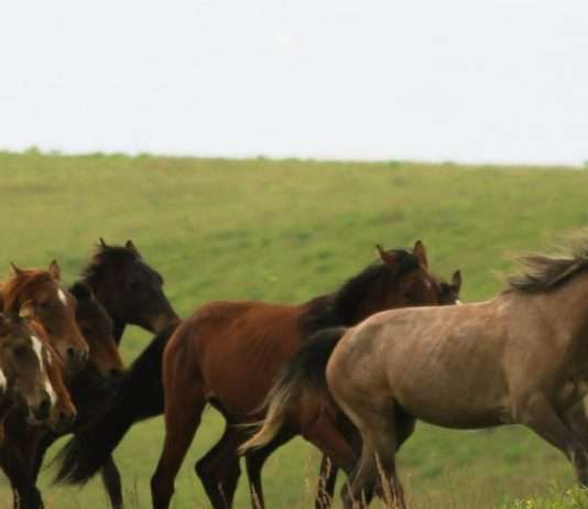 Conocer y amar a otros