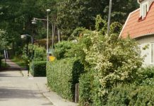 ¿Quién es mi prójimo?