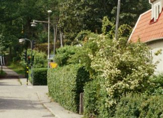 ¿Quién es mi prójimo?