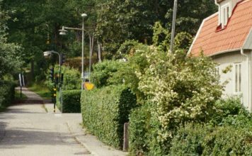 ¿Quién es mi prójimo?